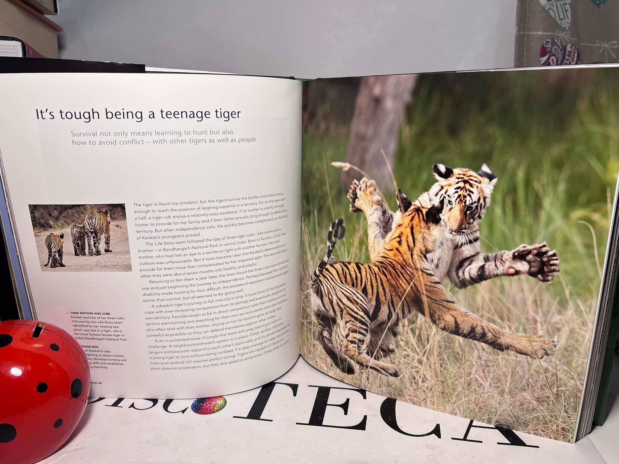 one epic journey - Rupert Barrington; Michael Gunton