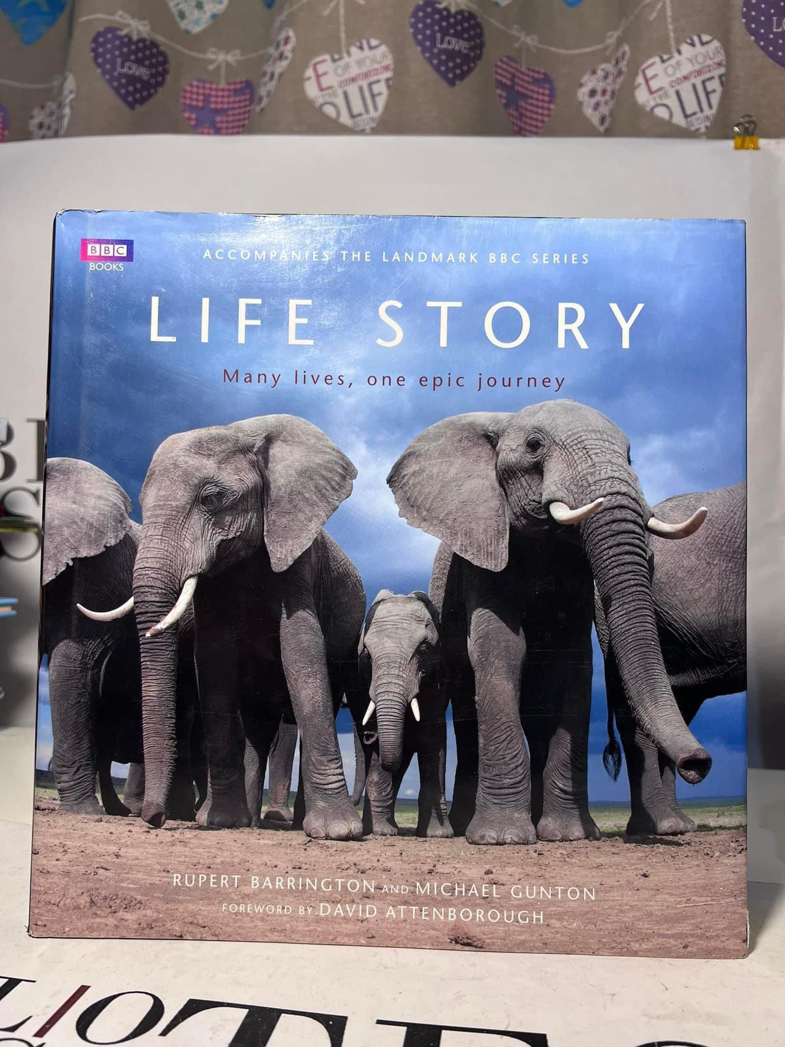 Life story. Many lives