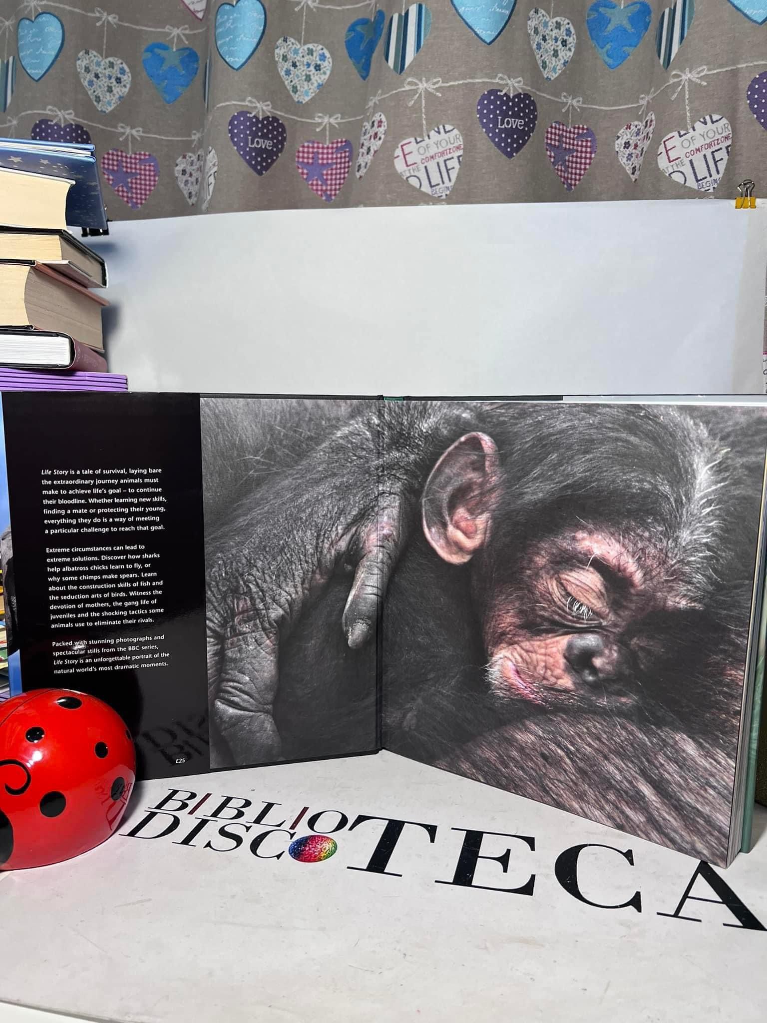 Life story. Many lives, one epic journey - Rupert Barrington; Michael Gunton - imagine 4