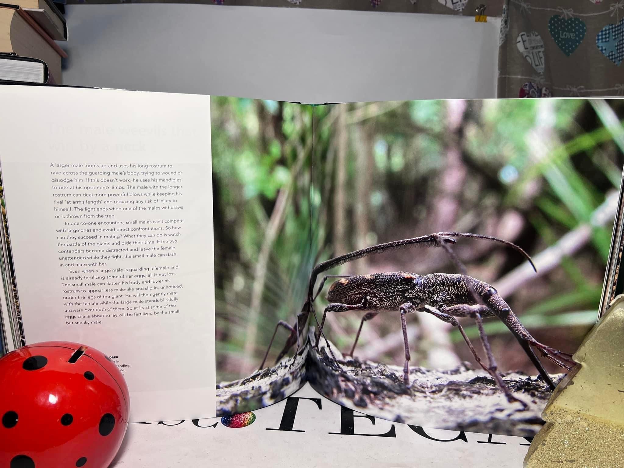 Life story. Many lives, one epic journey - Rupert Barrington; Michael Gunton - imagine 5