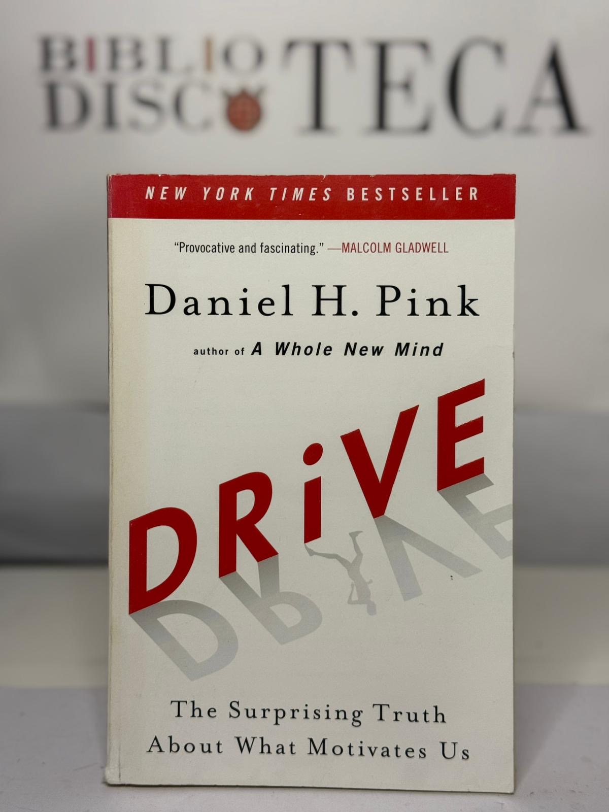 Drive: The Surprising Truth About What Motivates Us