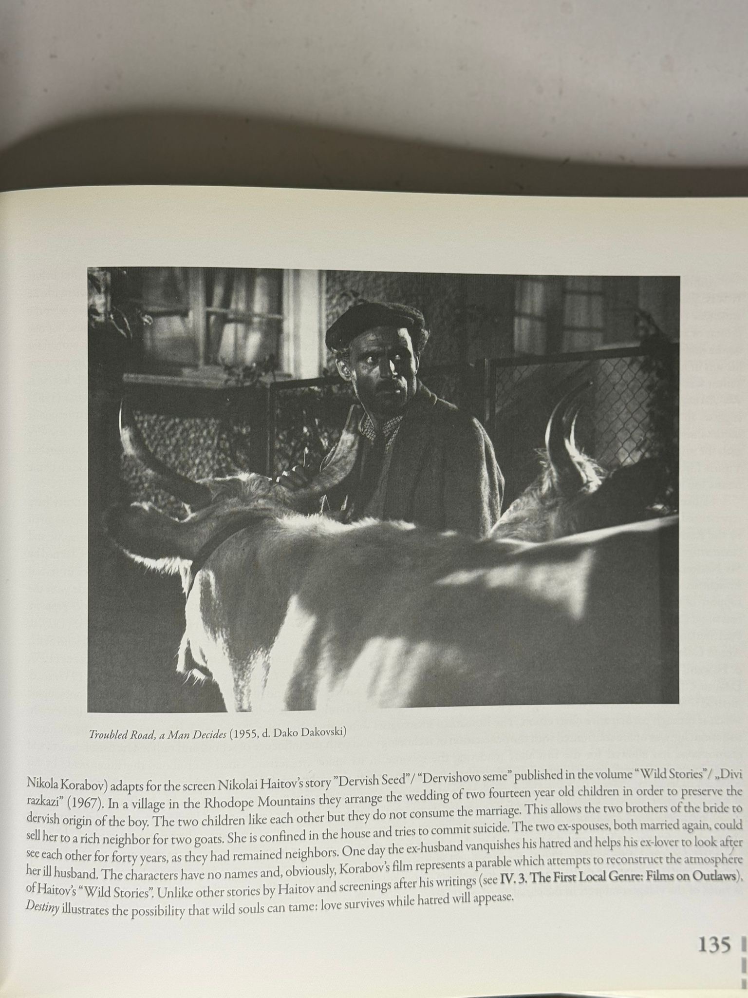 Orient express. The romanian and balkan cinema - imagine 2