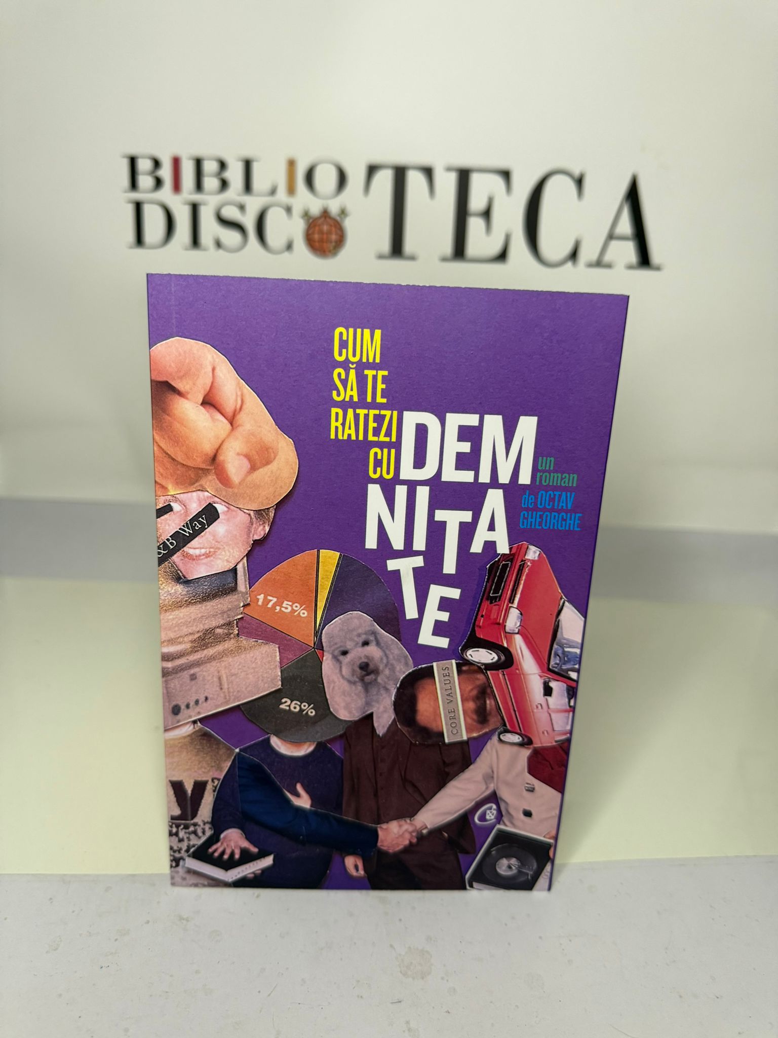 Cum să te ratezi cu demnitate: un roman