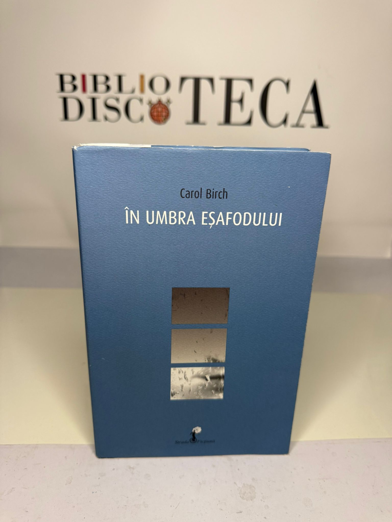 În umbra eșafodului