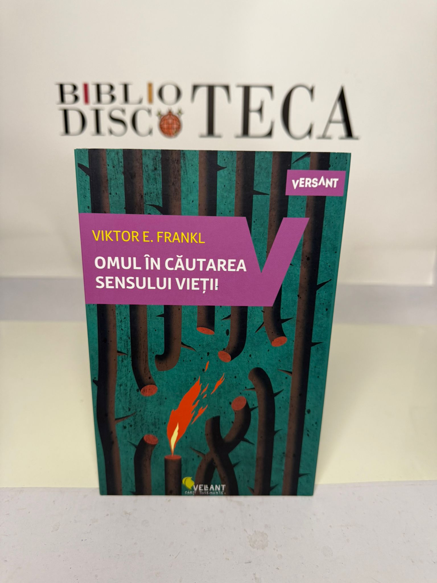 Omul în căutarea sensului vieții