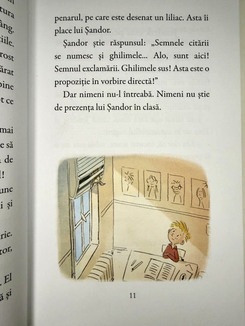 Sándor. Un liliac deștept foc - Dorothea Flechsig - imagine 2