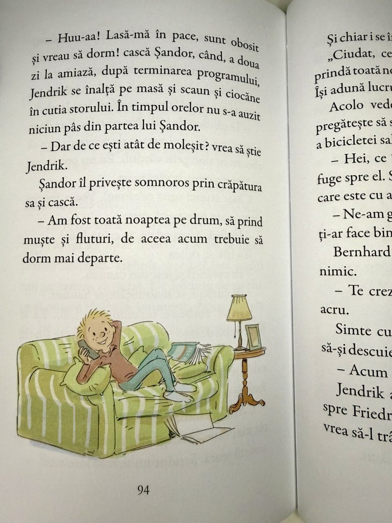Sándor. Un liliac deștept foc - Dorothea Flechsig - imagine 3