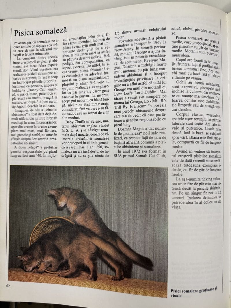 Pisica. Ceea ce trebuie să știm despre rase, comportament, îngrijire, reproducere - Bärbel Gerber - imagine 6